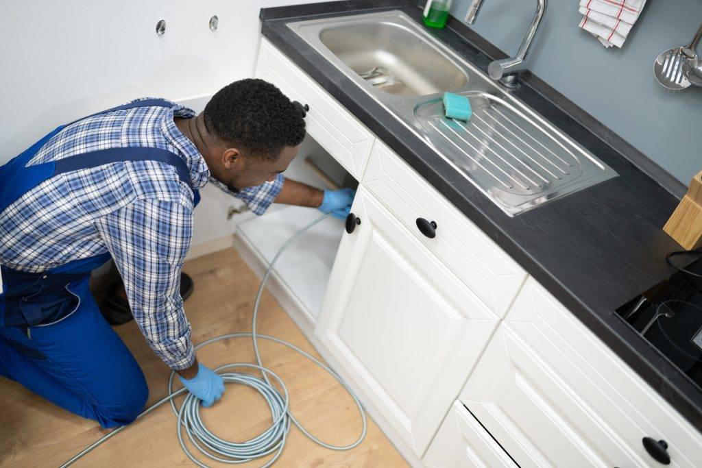 Plumbing Tips for Pet Owners: Protecting Your System from Furry Friends
